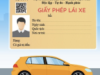 6 TRƯỜNG HỢP BỊ THU HỒI GIẤY PHÉP LÁI XE TỪ NGÀY 01/06