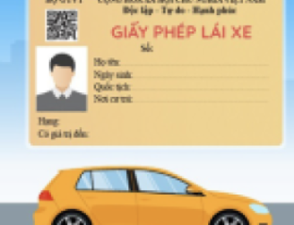 6 TRƯỜNG HỢP BỊ THU HỒI GIẤY PHÉP LÁI XE TỪ NGÀY 01/06